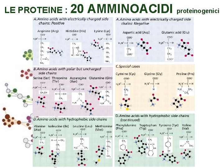 LE PROTEINE : 20 AMMINOACIDI proteinogenici 