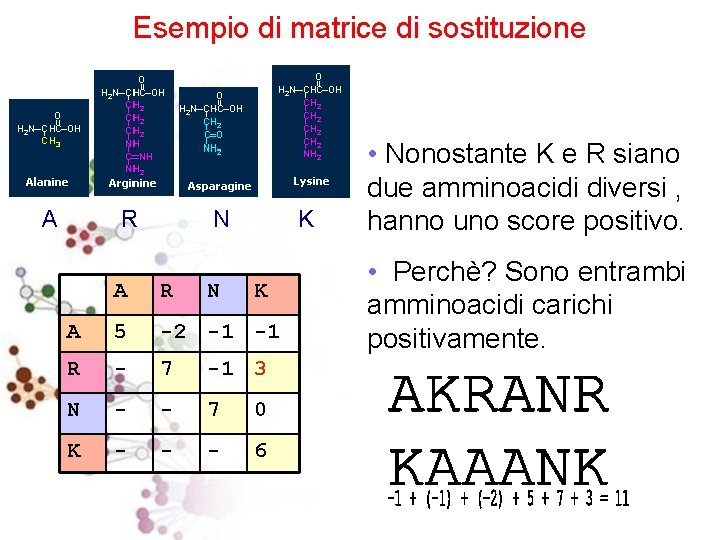Esempio di matrice di sostituzione A R N N K A R K A