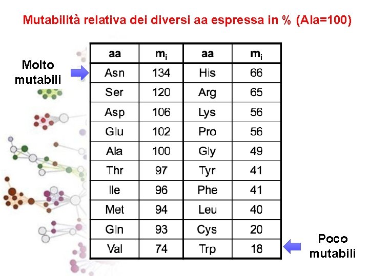 Mutabilità relativa dei diversi aa espressa in % (Ala=100) Molto mutabili Poco mutabili 