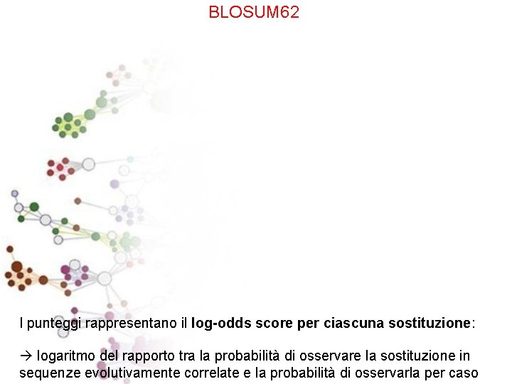 BLOSUM 62 I punteggi rappresentano il log-odds score per ciascuna sostituzione: logaritmo del rapporto