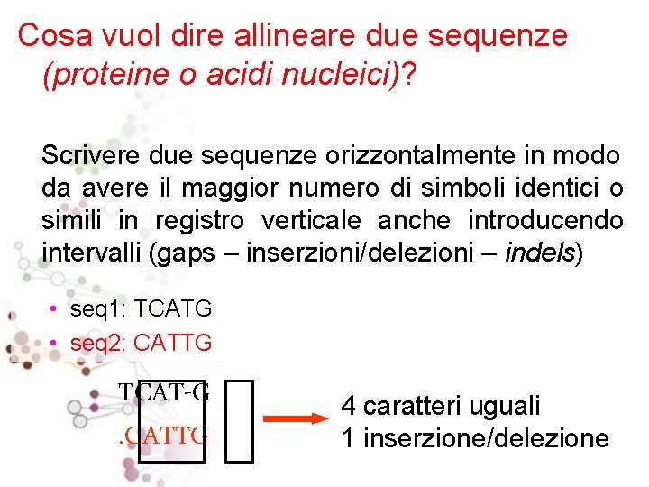 Cosa vuol dire allineare due sequenze (proteine o acidi nucleici)? Scrivere due sequenze orizzontalmente