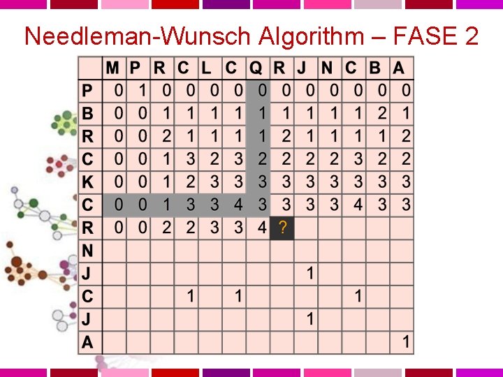Needleman-Wunsch Algorithm – FASE 2 
