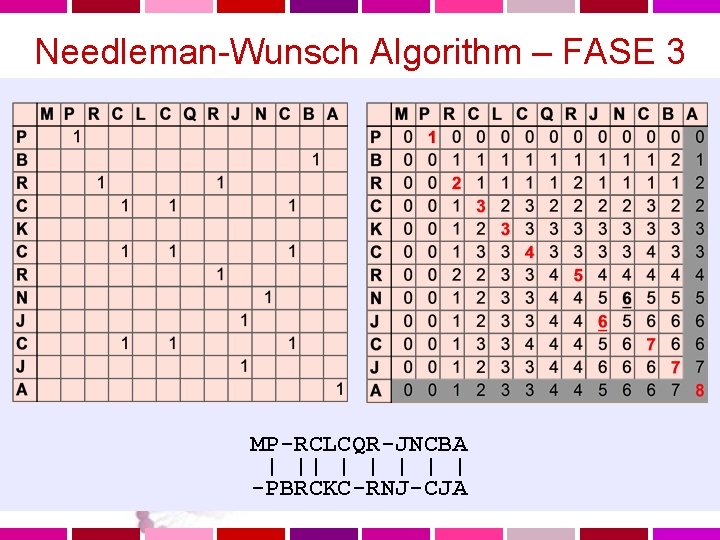 Needleman-Wunsch Algorithm – FASE 3 MP-RCLCQR-JNCBA | || | | -PBRCKC-RNJ-CJA 