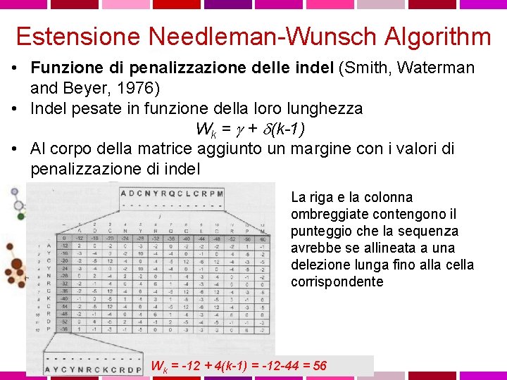Estensione Needleman-Wunsch Algorithm • Funzione di penalizzazione delle indel (Smith, Waterman and Beyer, 1976)