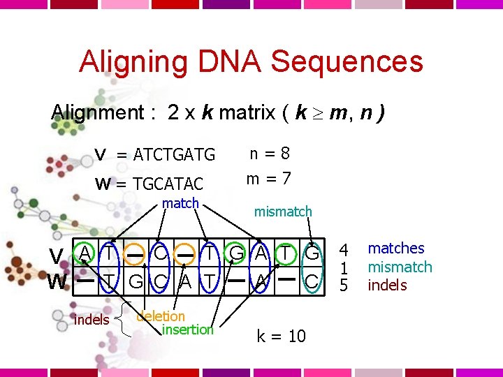 Aligning DNA Sequences Alignment : 2 x k matrix ( k m, n )