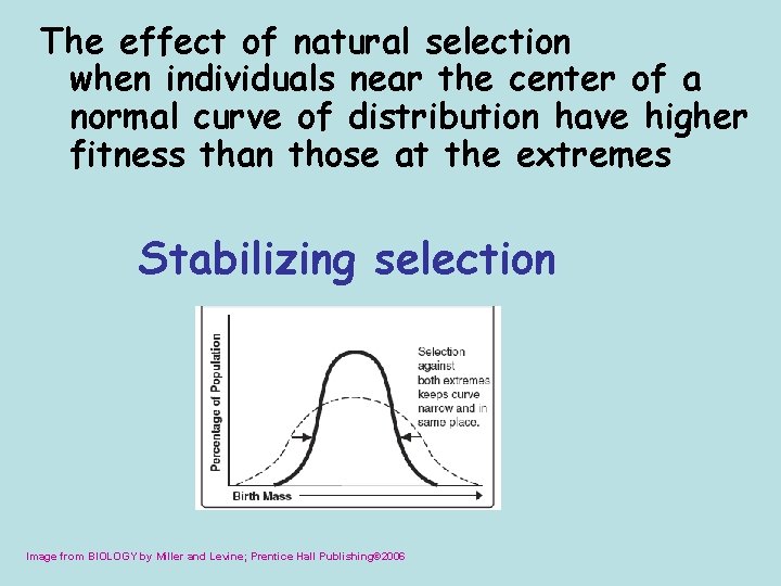 The effect of natural selection when individuals near the center of a normal curve