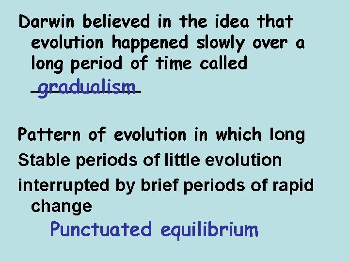 Darwin believed in the idea that evolution happened slowly over a long period of