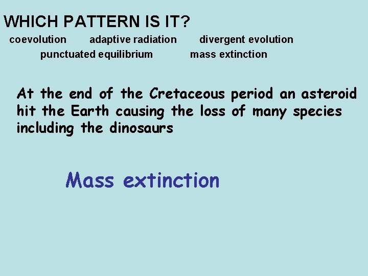 WHICH PATTERN IS IT? coevolution adaptive radiation punctuated equilibrium divergent evolution mass extinction At