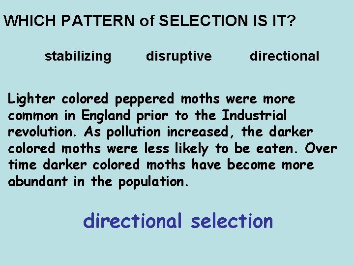 WHICH PATTERN of SELECTION IS IT? stabilizing disruptive directional Lighter colored peppered moths were