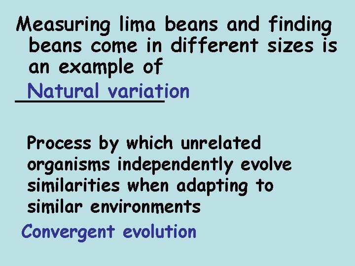 Measuring lima beans and finding beans come in different sizes is an example of