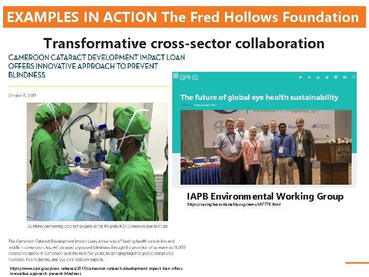 EXAMPLES IN ACTION The Fred Hollows Foundation Transformative cross-sector collaboration IAPB Environmental Working Group