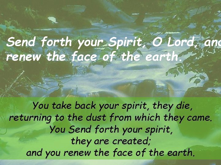 Send forth your Spirit, O Lord, and renew the face of the earth. You