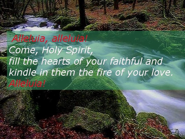 Alleluia, alleluia! Come, Holy Spirit, fill the hearts of your faithful and kindle in