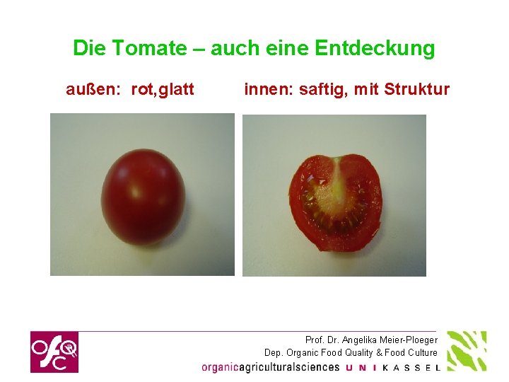 Die Tomate – auch eine Entdeckung außen: rot, glatt innen: saftig, mit Struktur Prof.