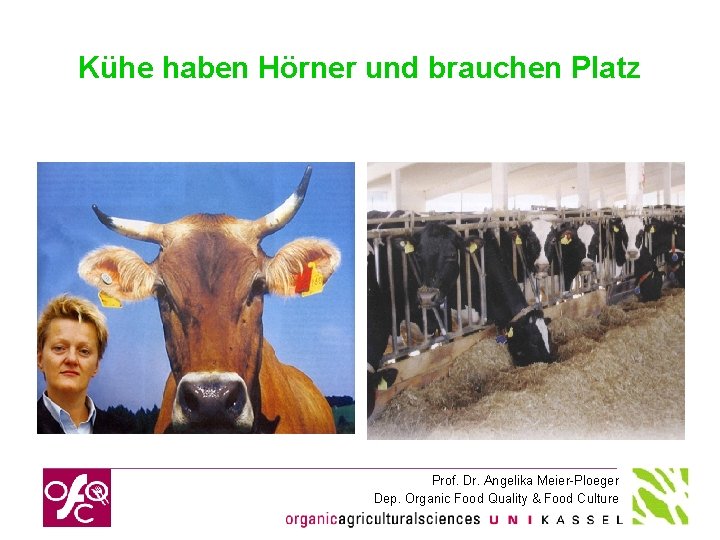 Kühe haben Hörner und brauchen Platz Prof. Dr. Angelika Meier-Ploeger Dep. Organic Food Quality