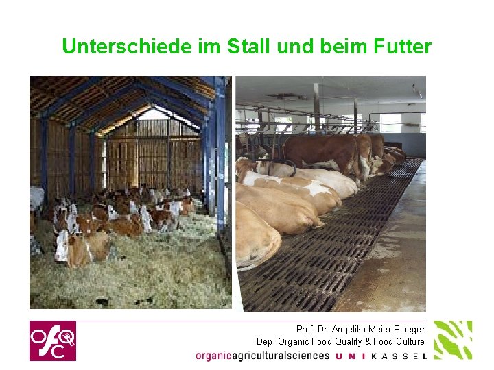 Unterschiede im Stall und beim Futter Prof. Dr. Angelika Meier-Ploeger Dep. Organic Food Quality