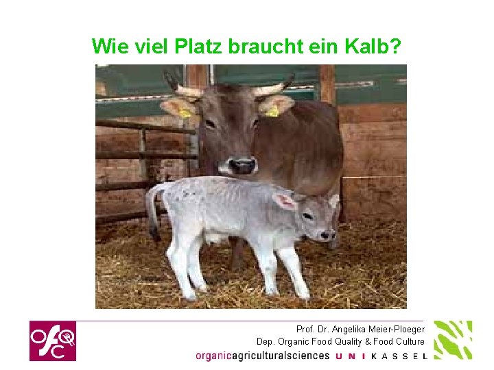 Wie viel Platz braucht ein Kalb? Prof. Dr. Angelika Meier-Ploeger Dep. Organic Food Quality