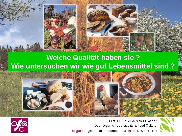 Welche Qualität haben sie ? Wie untersuchen wir wie gut Lebensmittel sind ? Prof.
