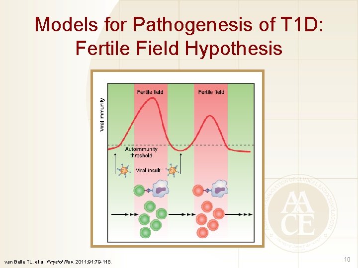 Models for Pathogenesis of T 1 D: Fertile Field Hypothesis van Belle TL, et
