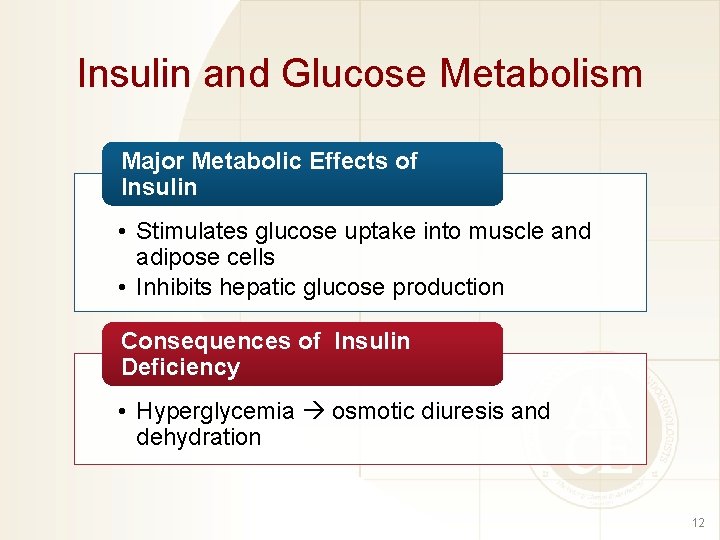 Insulin and Glucose Metabolism Major Metabolic Effects of Insulin • Stimulates glucose uptake into