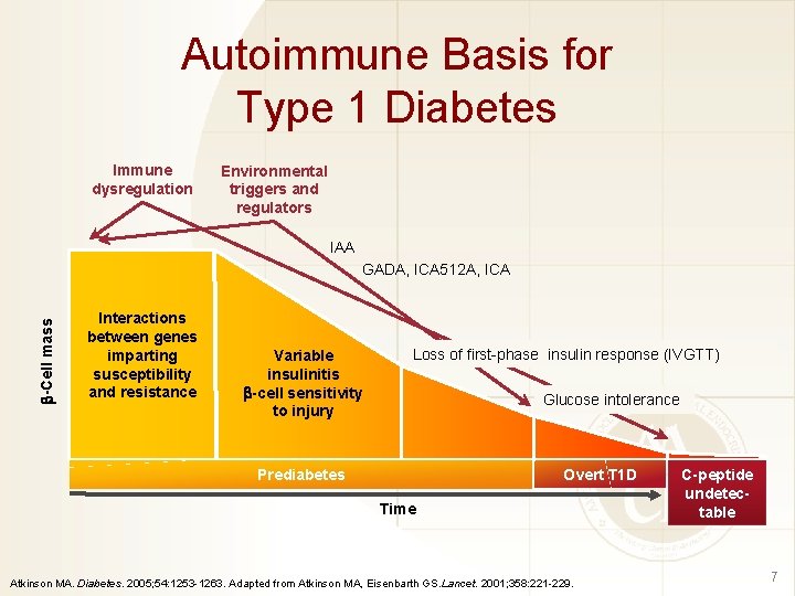 Autoimmune Basis for Type 1 Diabetes Immune dysregulation Environmental triggers and regulators IAA -Cell