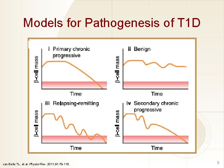 Models for Pathogenesis of T 1 D van Belle TL, et al. Physiol Rev.