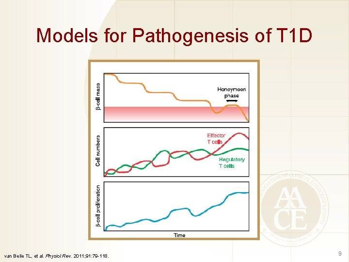 Models for Pathogenesis of T 1 D van Belle TL, et al. Physiol Rev.