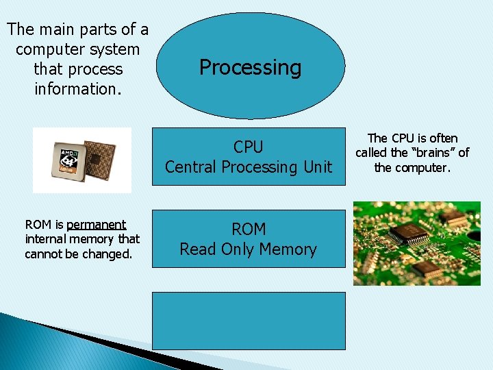 The main parts of a computer system that process information. Processing CPU Central Processing