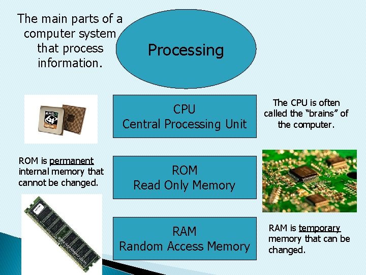 The main parts of a computer system that process information. Processing CPU Central Processing