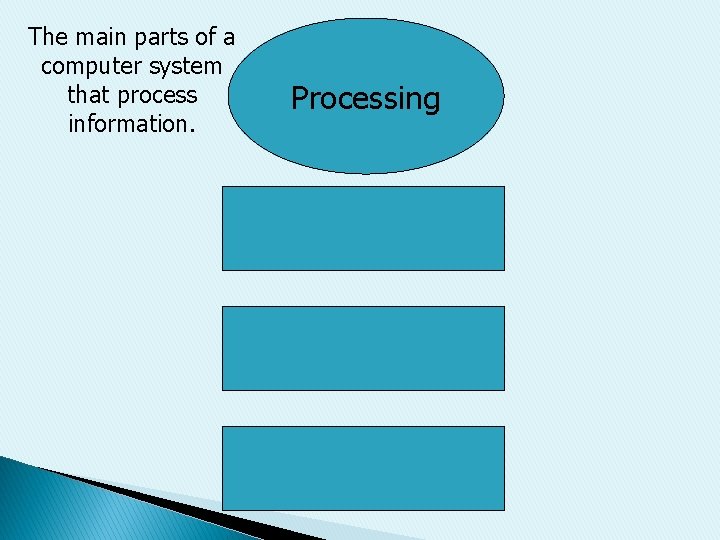 The main parts of a computer system that process information. Processing 