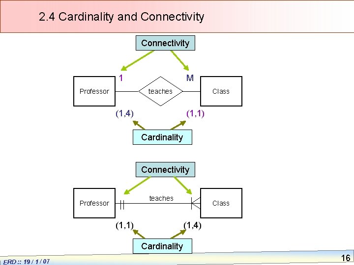 2. 4 Cardinality and Connectivity 1 M teaches Professor (1, 4) Class (1, 1)