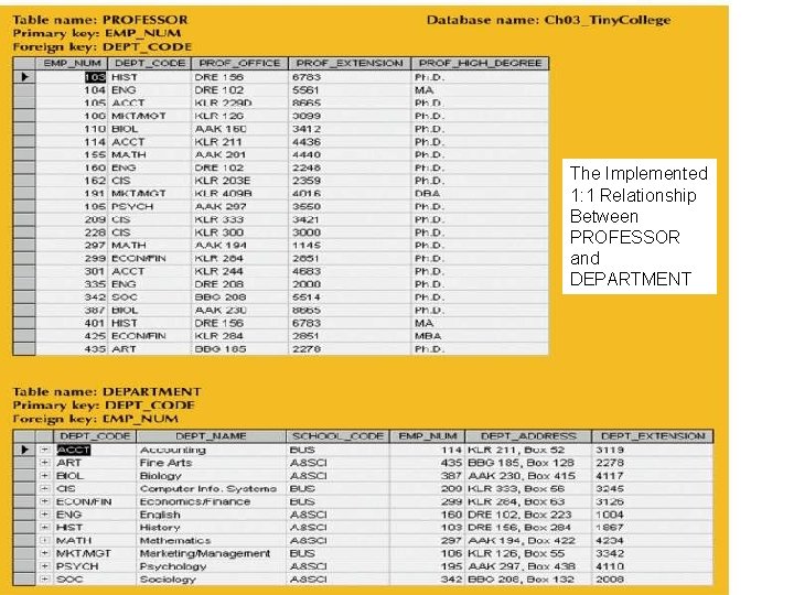 The Implemented 1: 1 Relationship Between PROFESSOR and DEPARTMENT 