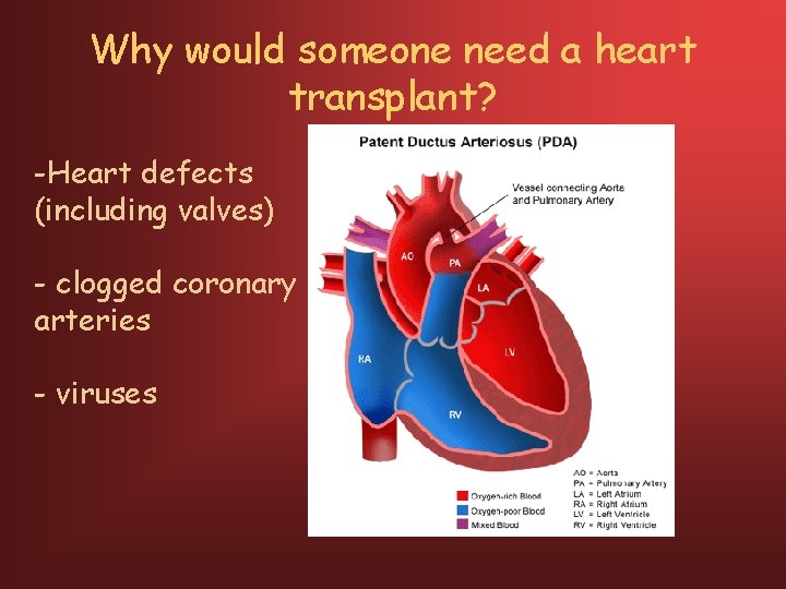 Why would someone need a heart transplant? -Heart defects (including valves) - clogged coronary