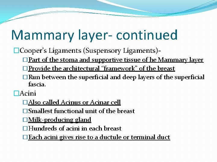 Mammary layer- continued �Cooper’s Ligaments (Suspensory Ligaments)�Part of the stoma and supportive tissue of