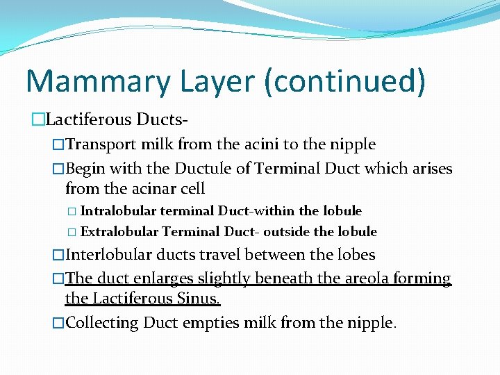 Mammary Layer (continued) �Lactiferous Ducts�Transport milk from the acini to the nipple �Begin with