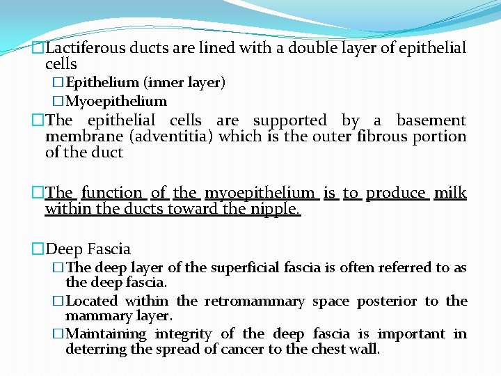 �Lactiferous ducts are lined with a double layer of epithelial cells �Epithelium (inner layer)