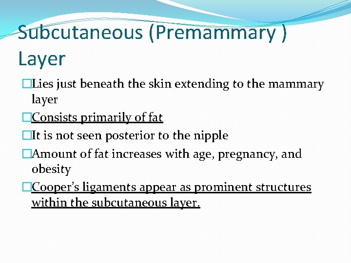 Subcutaneous (Premammary ) Layer �Lies just beneath the skin extending to the mammary layer