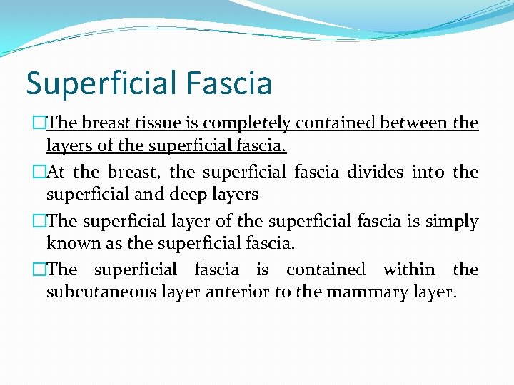 Superficial Fascia �The breast tissue is completely contained between the layers of the superficial