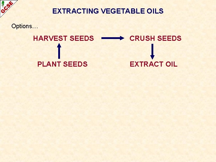 EXTRACTING VEGETABLE OILS Options… HARVEST SEEDS CRUSH SEEDS PLANT SEEDS EXTRACT OIL 