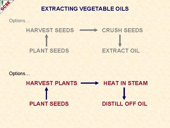 EXTRACTING VEGETABLE OILS Options… HARVEST SEEDS CRUSH SEEDS PLANT SEEDS EXTRACT OIL Options… HARVEST