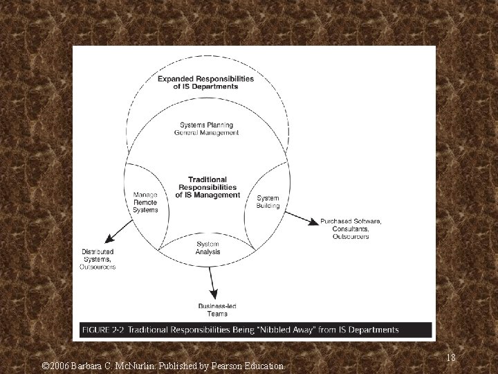 © 2006 Barbara C. Mc. Nurlin. Published by Pearson Education. 18 © 2006 Barbara C. Mc. Nurlin. Published by Pearson Education. 18