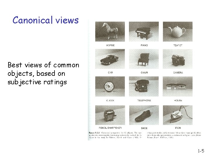 Canonical views Best views of common objects, based on subjective ratings 1 -5 