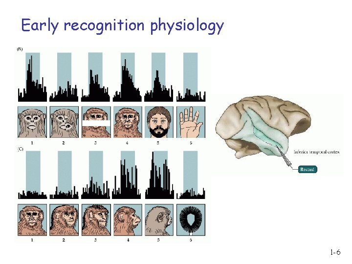 Early recognition physiology 1 -6 