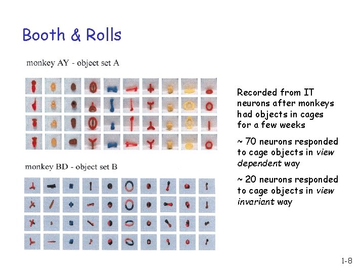 Booth & Rolls Recorded from IT neurons after monkeys had objects in cages for