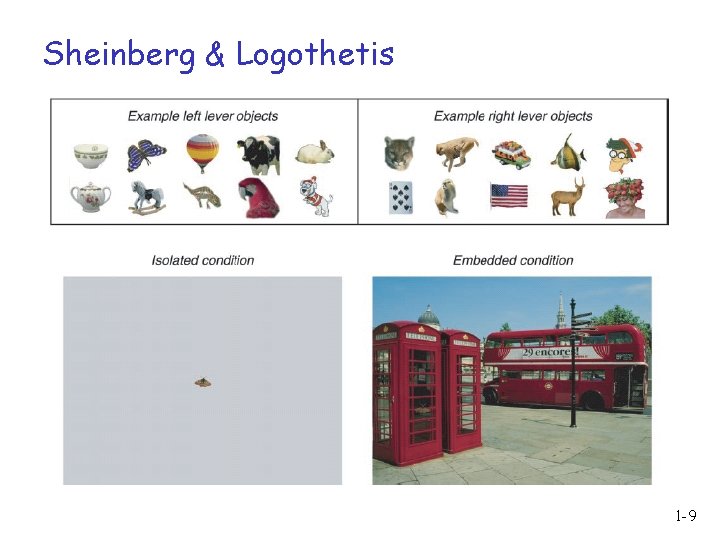 Sheinberg & Logothetis 1 -9 