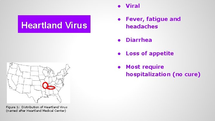 ● Viral Heartland Virus ● Fever, fatigue and headaches ● Diarrhea ● Loss of