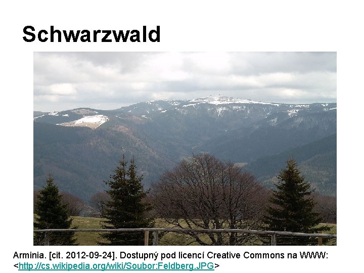 Schwarzwald Arminia. [cit. 2012 -09 -24]. Dostupný pod licencí Creative Commons na WWW: <http: