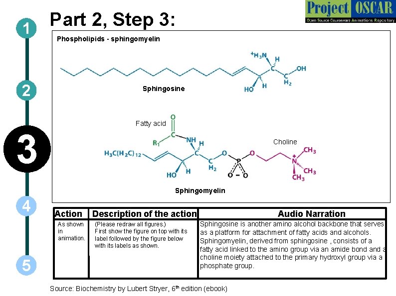 Part 2, Step 3: 1 Phospholipids - sphingomyelin 2 Sphingosine Fatty acid 3 Choline