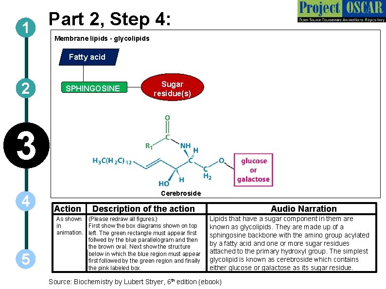 Part 2, Step 4: 1 Membrane lipids - glycolipids Fatty acid 2 SPHINGOSINE Sugar