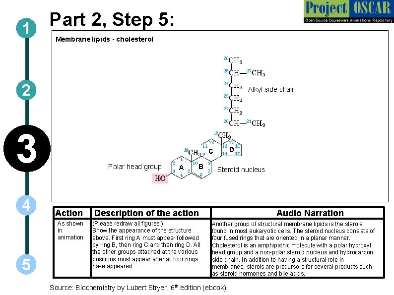Part 2, Step 5: 1 Membrane lipids - cholesterol 2 Alkyl side chain 3